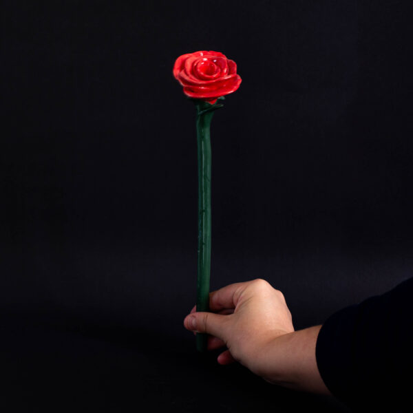 Rosas - Imagen 2