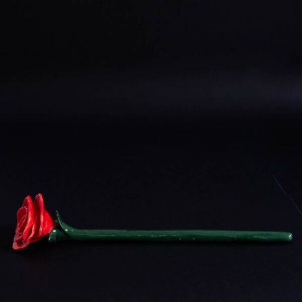 Rosas - Imagen 3